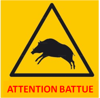 INFORMATION importante CHASSE